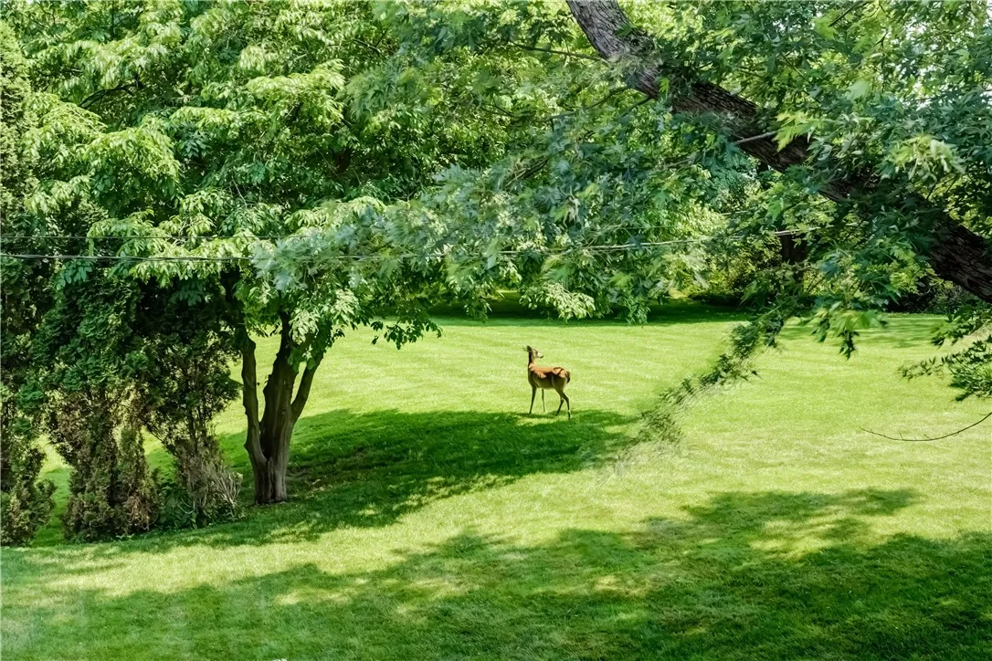 54 Round Trail Drive, Pittsford, New York 14534, Pittsford, New York 14534, 6 Bedrooms Bedrooms, 10 Rooms Rooms,3 BathroomsBathrooms,Residential,Closed,54 Round Trail Drive, Pittsford, New York 14534,R1614923