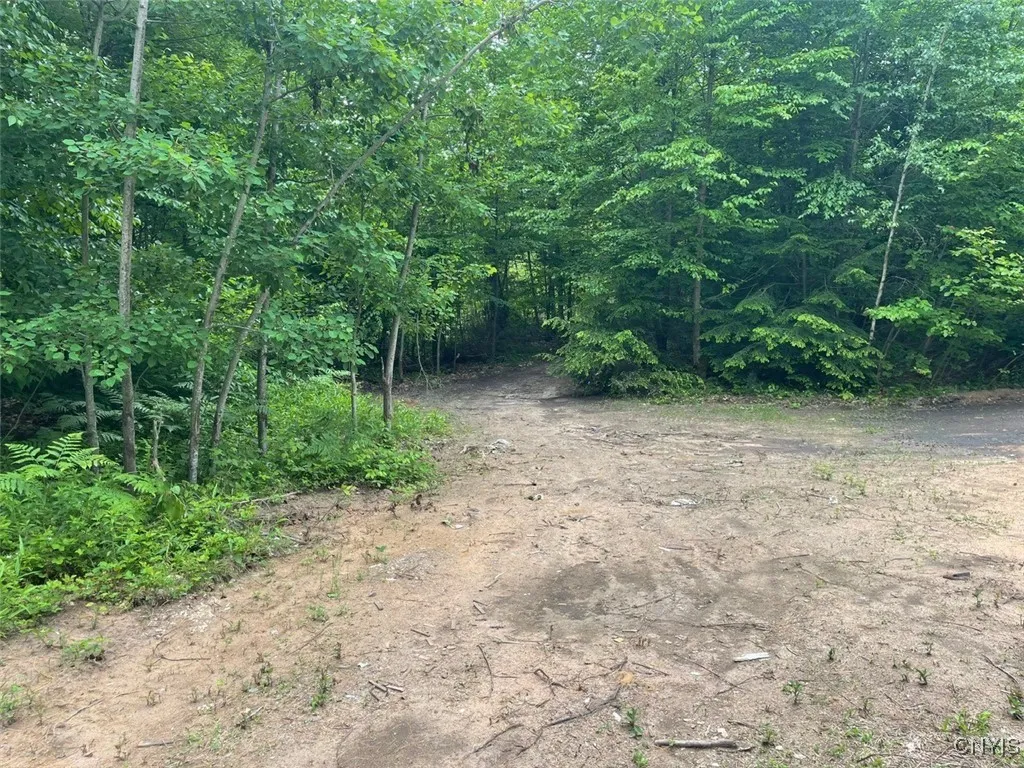 3392 Oswego Road, Vienna, New York 13308, Vienna, New York 13308, 4 Bedrooms Bedrooms, 6 Rooms Rooms,2 BathroomsBathrooms,Residential,Closed,3392 Oswego Road, Vienna, New York 13308,0,S1614846