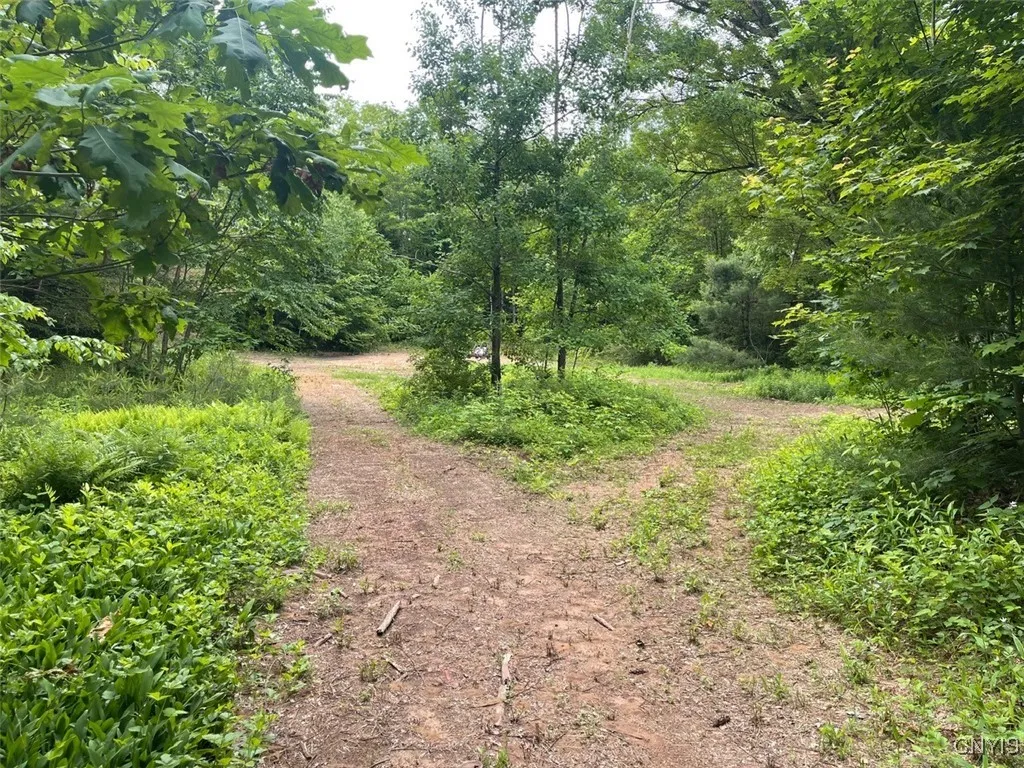3392 Oswego Road, Vienna, New York 13308, Vienna, New York 13308, 4 Bedrooms Bedrooms, 6 Rooms Rooms,2 BathroomsBathrooms,Residential,Closed,3392 Oswego Road, Vienna, New York 13308,0,S1614846