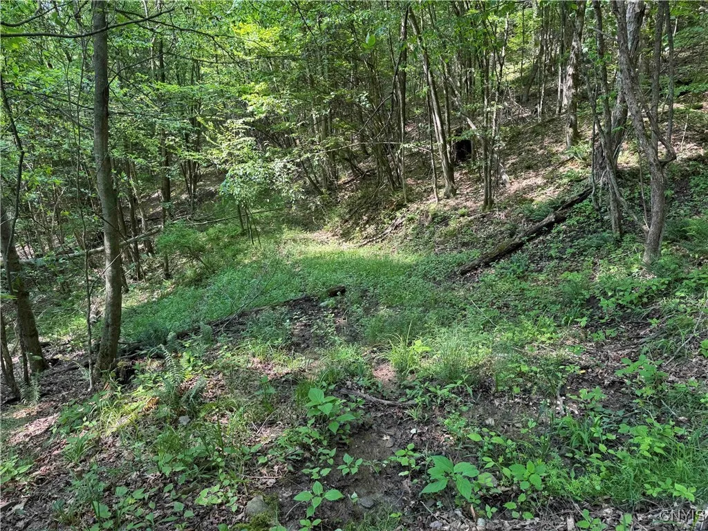 Indian Creek Road, Olean-town, New York 14760, Olean, New York 14760, ,Land,For Sale,Indian Creek Road, Olean-town, New York 14760,0,S1615554
