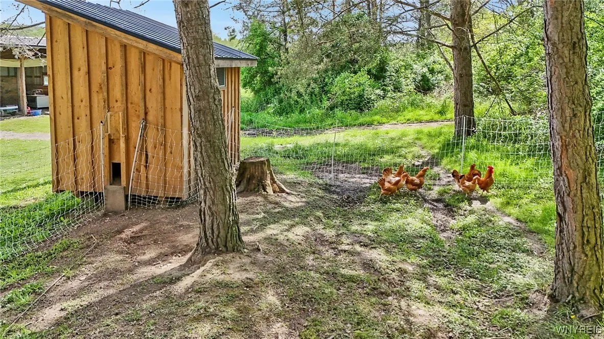 11577 Armison Road, Hume, New York 14735, Hume, New York 14735, 7 Bedrooms Bedrooms, 11 Rooms Rooms,1 BathroomBathrooms,Residential,For Sale,11577 Armison Road, Hume, New York 14735,0,B1615652