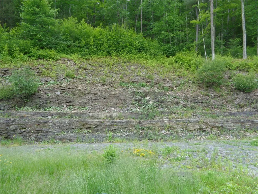 671 Breed Hollow Road, Catlin, New York 14845, Catlin, New York 14845, 3 Bedrooms Bedrooms, 7 Rooms Rooms,2 BathroomsBathrooms,Residential,Closed,671 Breed Hollow Road, Catlin, New York 14845,0,R1615685