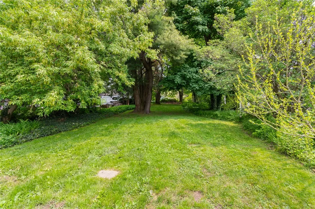 The deep rear yard- plenty of room to add a storage shed or garage!
