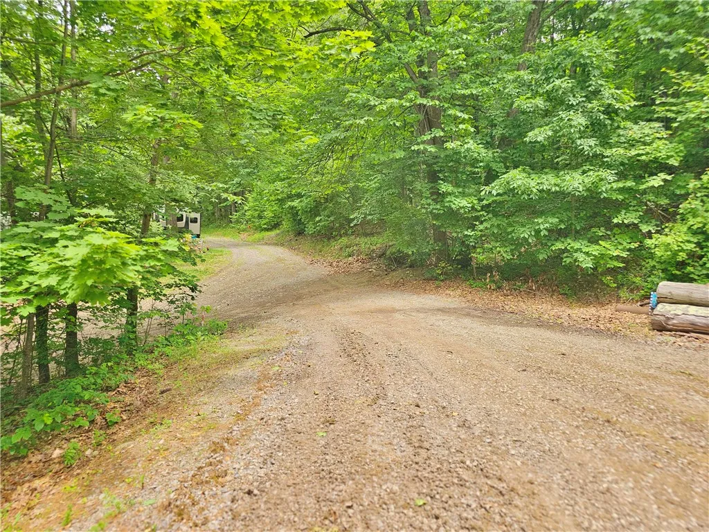 15380 Nys Route 54, Wayne, New York 14840, Wayne, New York 14840, 2 Bedrooms Bedrooms, 4 Rooms Rooms,1 BathroomBathrooms,Residential,Closed,15380 Nys Route 54, Wayne, New York 14840,0,R1615313