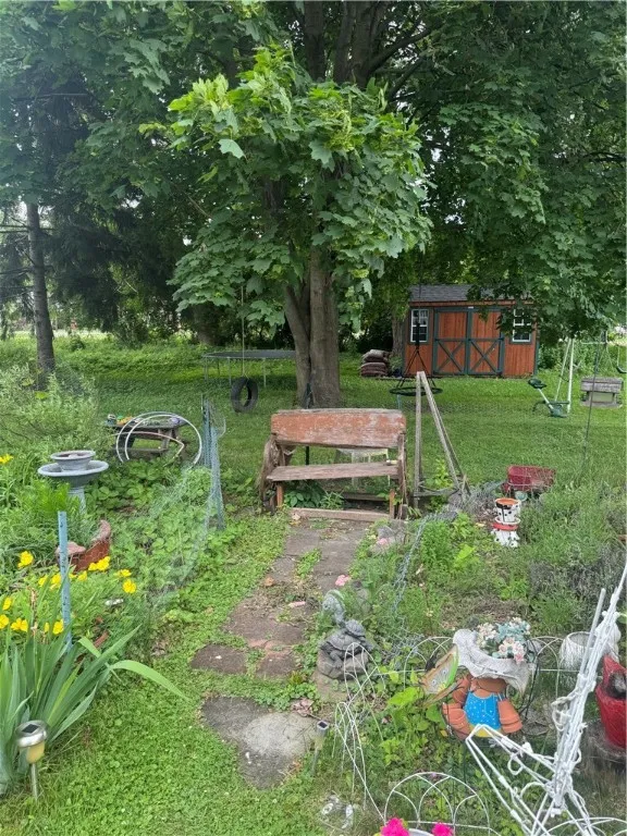 Back yard