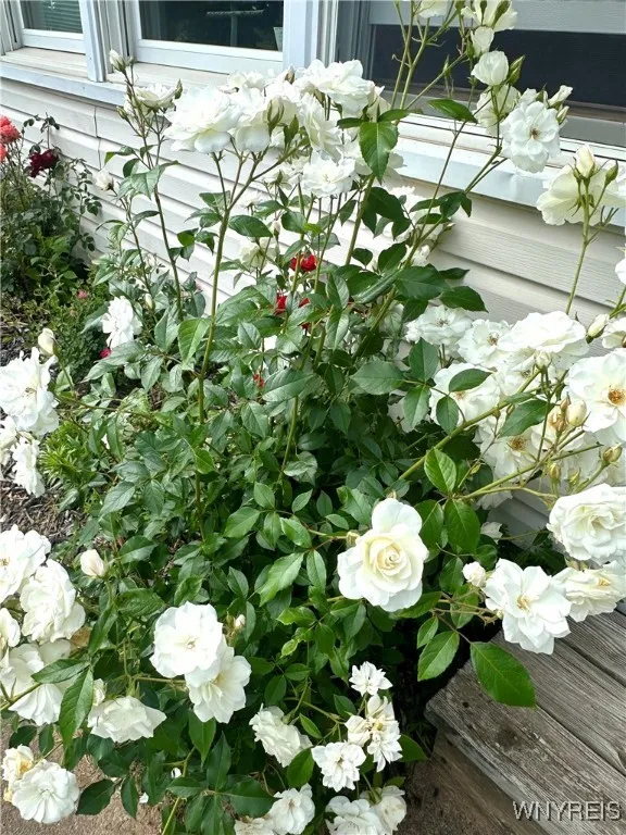 9718 Pearson Road, Hartland, New York 14105, Hartland, New York 14105, 3 Bedrooms Bedrooms, 10 Rooms Rooms,2 BathroomsBathrooms,Residential,Closed,9718 Pearson Road, Hartland, New York 14105,0,B1615804