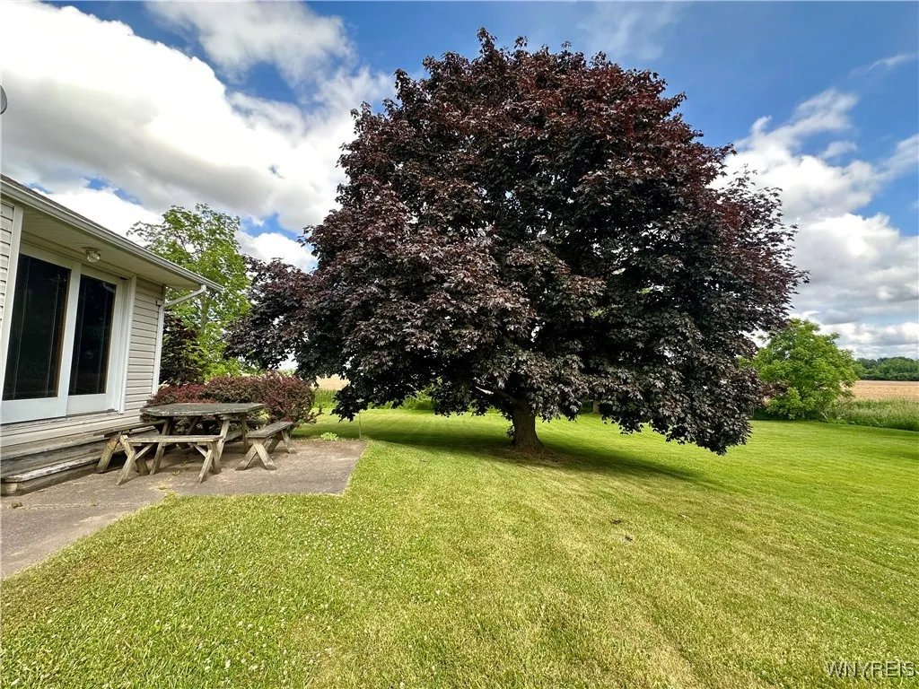9718 Pearson Road, Hartland, New York 14105, Hartland, New York 14105, 3 Bedrooms Bedrooms, 10 Rooms Rooms,2 BathroomsBathrooms,Residential,Closed,9718 Pearson Road, Hartland, New York 14105,0,B1615804