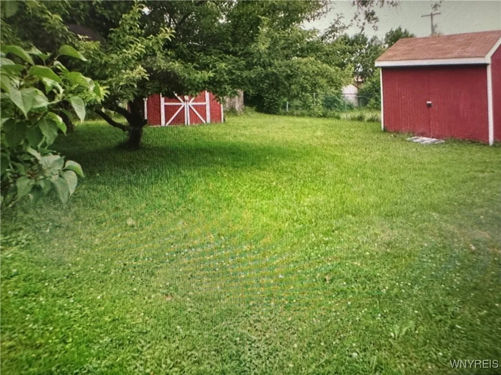large fenced yard