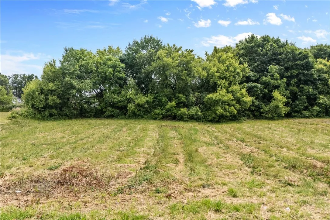 14 Elmer Street 12, Lyons, New York 14489, Lyons, New York 14489, ,Land,Closed,14 Elmer Street 12, Lyons, New York 14489,0,R1616344