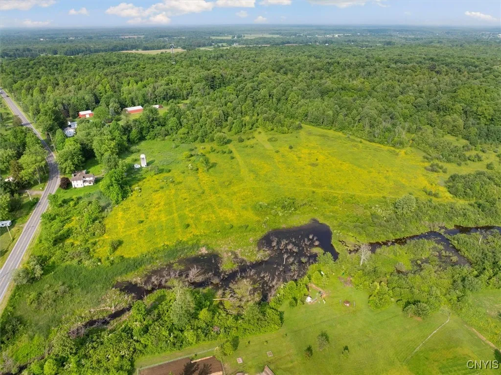 2404 Co Rt 12, Hastings, New York 13076, Hastings, New York 13076, ,Land,Closed,2404 Co Rt 12, Hastings, New York 13076,0,S1616519