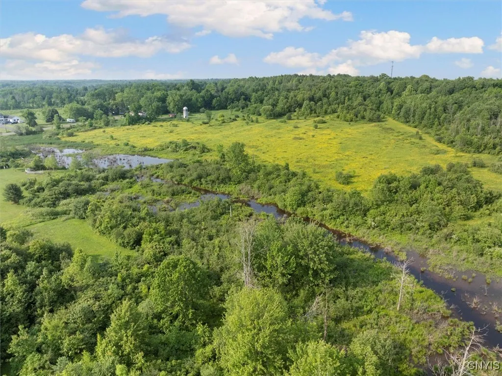 2404 Co Rt 12, Hastings, New York 13076, Hastings, New York 13076, ,Land,Closed,2404 Co Rt 12, Hastings, New York 13076,0,S1616519