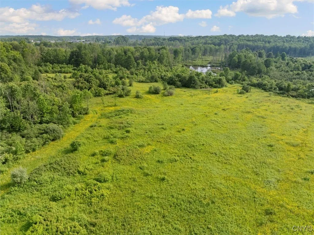 2404 Co Rt 12, Hastings, New York 13076, Hastings, New York 13076, ,Land,Closed,2404 Co Rt 12, Hastings, New York 13076,0,S1616519