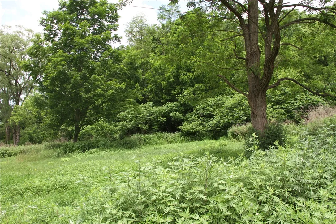 6581 Chappel Road, Addison, New York 14801, Rathbone, New York 14801, 4 Bedrooms Bedrooms, 8 Rooms Rooms,2 BathroomsBathrooms,Residential,Closed,6581 Chappel Road, Addison, New York 14801,0,R1616633