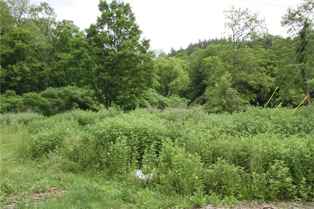 6581 Chappel Road, Addison, New York 14801, Rathbone, New York 14801, 4 Bedrooms Bedrooms, 8 Rooms Rooms,2 BathroomsBathrooms,Residential,Closed,6581 Chappel Road, Addison, New York 14801,0,R1616633