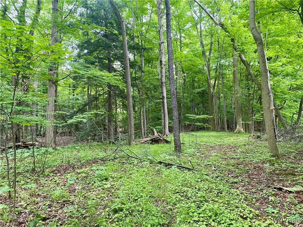 11671 Gowanda State Road, North Collins, New York, North Collins, New York 14111, 3 Bedrooms Bedrooms, 7 Rooms Rooms,1 BathroomBathrooms,Residential,Closed,11671 Gowanda State Road, North Collins, New York ,0,B1615907