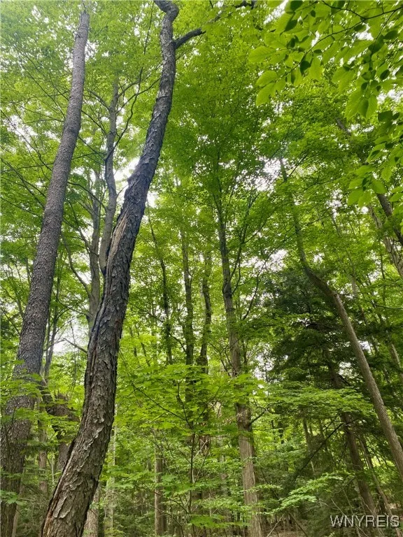 11671 Gowanda State Road, North Collins, New York, North Collins, New York 14111, 3 Bedrooms Bedrooms, 7 Rooms Rooms,1 BathroomBathrooms,Residential,Closed,11671 Gowanda State Road, North Collins, New York ,0,B1615907