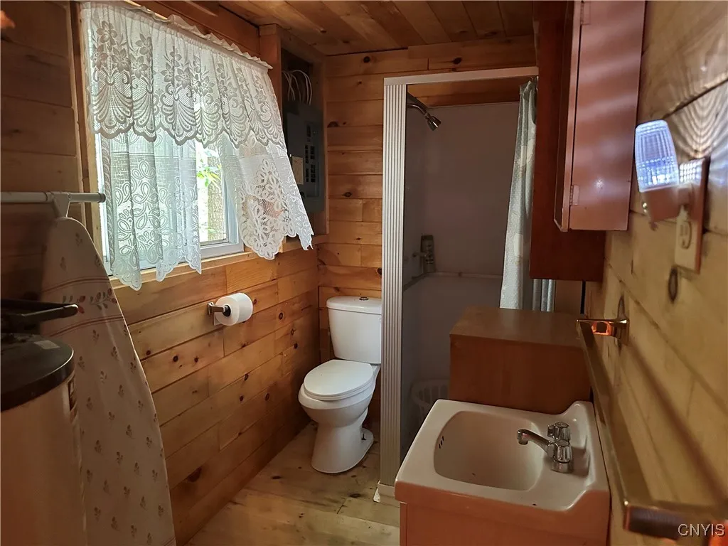 7109 Spruce, Diana, New York 13648, Diana, New York 13648, 3 Bedrooms Bedrooms, ,1 BathroomBathrooms,Land,For Sale,7109 Spruce, Diana, New York 13648,S1616832