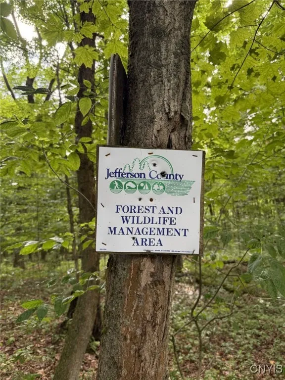 Jefferson County NY Wildlife area