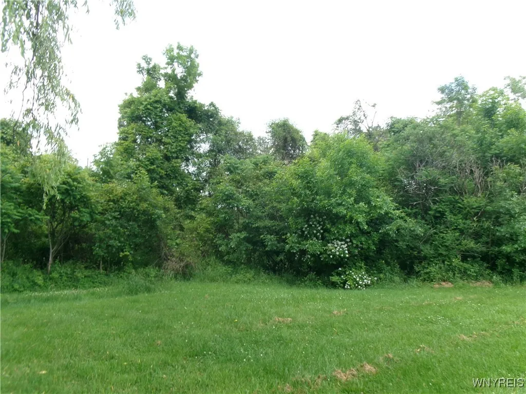 1207 Ransom Road, Lancaster, New York 14086, Lancaster, New York 14086, 3 Bedrooms Bedrooms, 3 Rooms Rooms,1 BathroomBathrooms,Residential,For Sale,1207 Ransom Road, Lancaster, New York 14086,B1616887