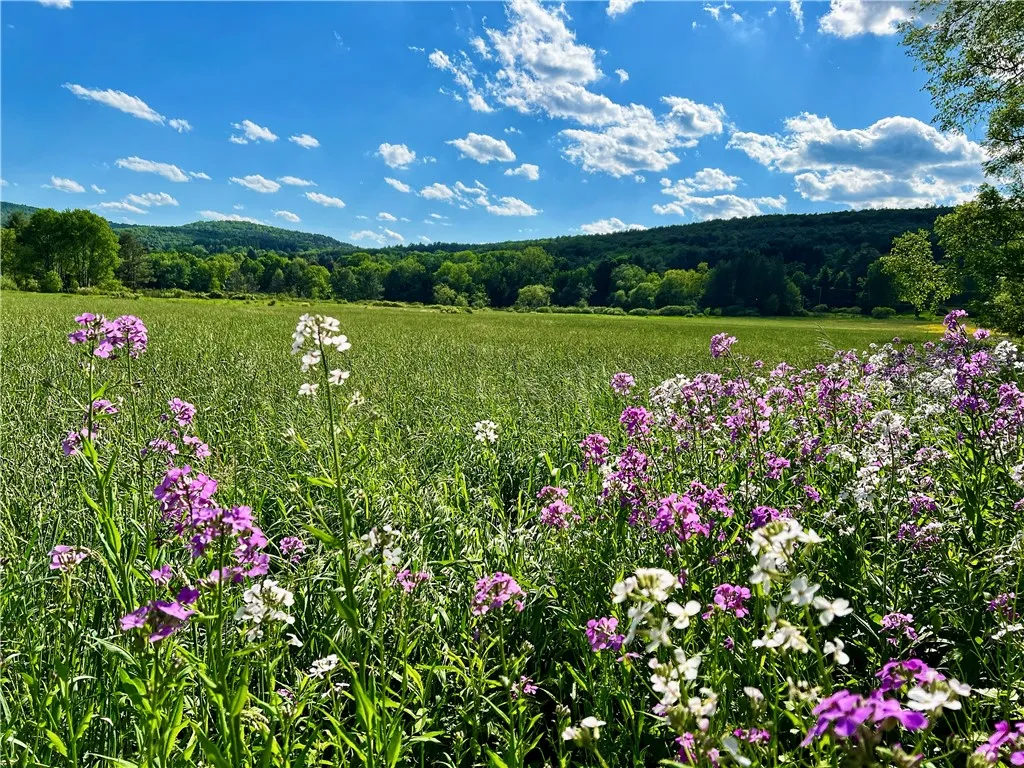 3755 State Highway 23, Oneonta-town, New York 1382, Oneonta, New York 13820, 4 Bedrooms Bedrooms, 10 Rooms Rooms,4 BathroomsBathrooms,Residential,For Sale,3755 State Highway 23, Oneonta-town, New York 1382,R1612559