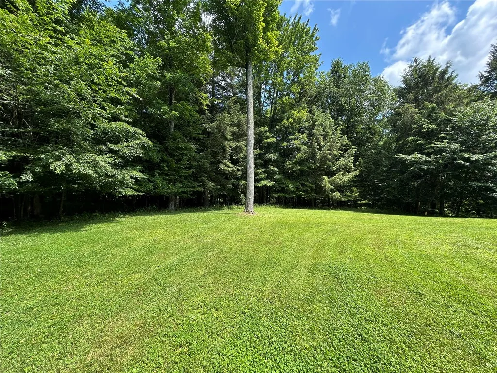 Back Yard View 2