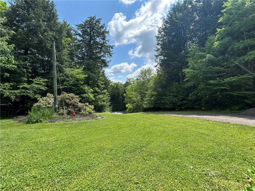 Front Yard, Landscaping