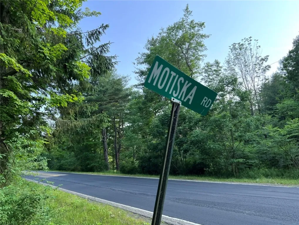 Breesport Road, Erin, New York 14838, Erin, New York 14838, ,Land,For Sale,Breesport Road, Erin, New York 14838,R1616924