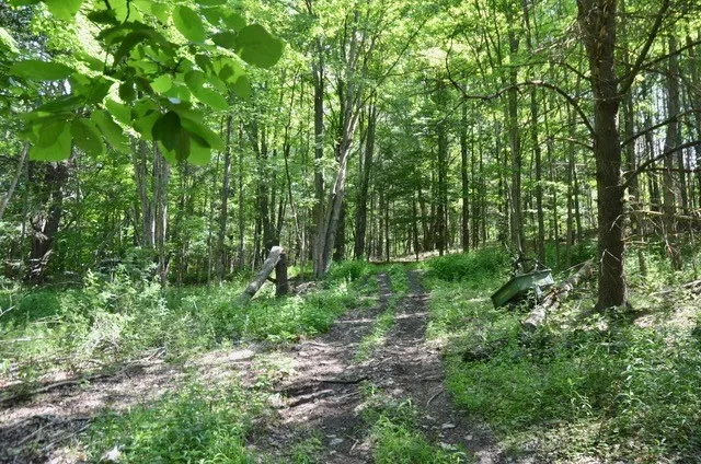Breesport Road, Erin, New York 14838, Erin, New York 14838, ,Land,For Sale,Breesport Road, Erin, New York 14838,R1616924