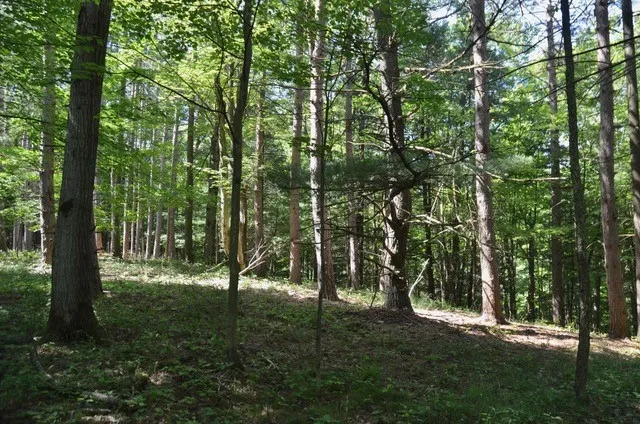 Breesport Road, Erin, New York 14838, Erin, New York 14838, ,Land,For Sale,Breesport Road, Erin, New York 14838,R1616924