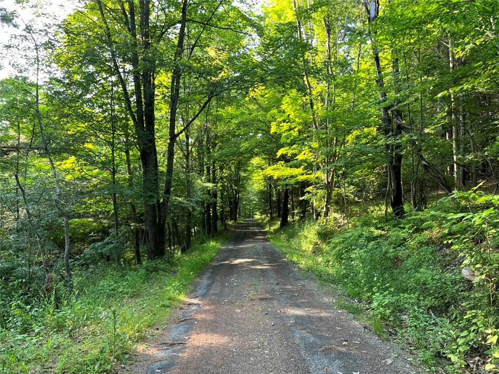 Breesport Road, Erin, New York 14838, Erin, New York 14838, ,Land,For Sale,Breesport Road, Erin, New York 14838,R1616924