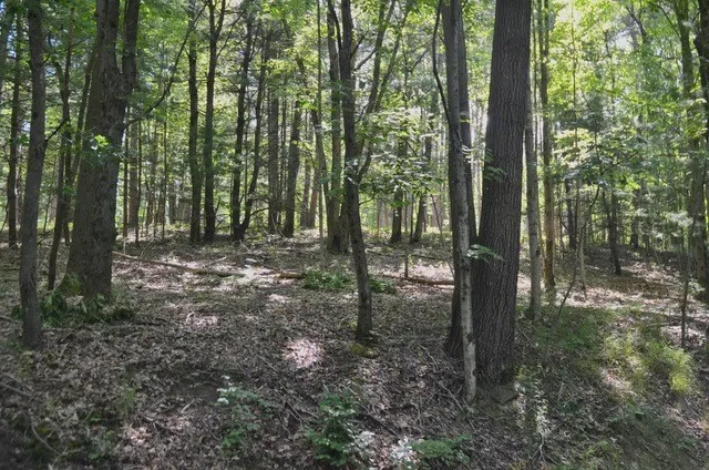 Breesport Road, Erin, New York 14838, Erin, New York 14838, ,Land,For Sale,Breesport Road, Erin, New York 14838,R1616924