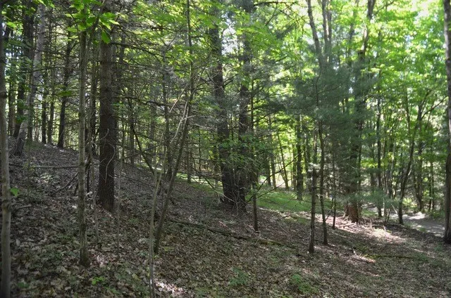 Breesport Road, Erin, New York 14838, Erin, New York 14838, ,Land,For Sale,Breesport Road, Erin, New York 14838,R1616924