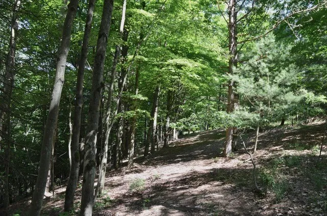 Breesport Road, Erin, New York 14838, Erin, New York 14838, ,Land,For Sale,Breesport Road, Erin, New York 14838,R1616924