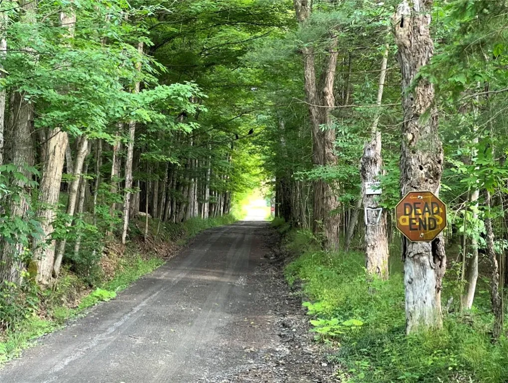 Breesport Road, Erin, New York 14838, Erin, New York 14838, ,Land,For Sale,Breesport Road, Erin, New York 14838,R1616924