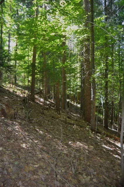 Breesport Road, Erin, New York 14838, Erin, New York 14838, ,Land,For Sale,Breesport Road, Erin, New York 14838,R1616924