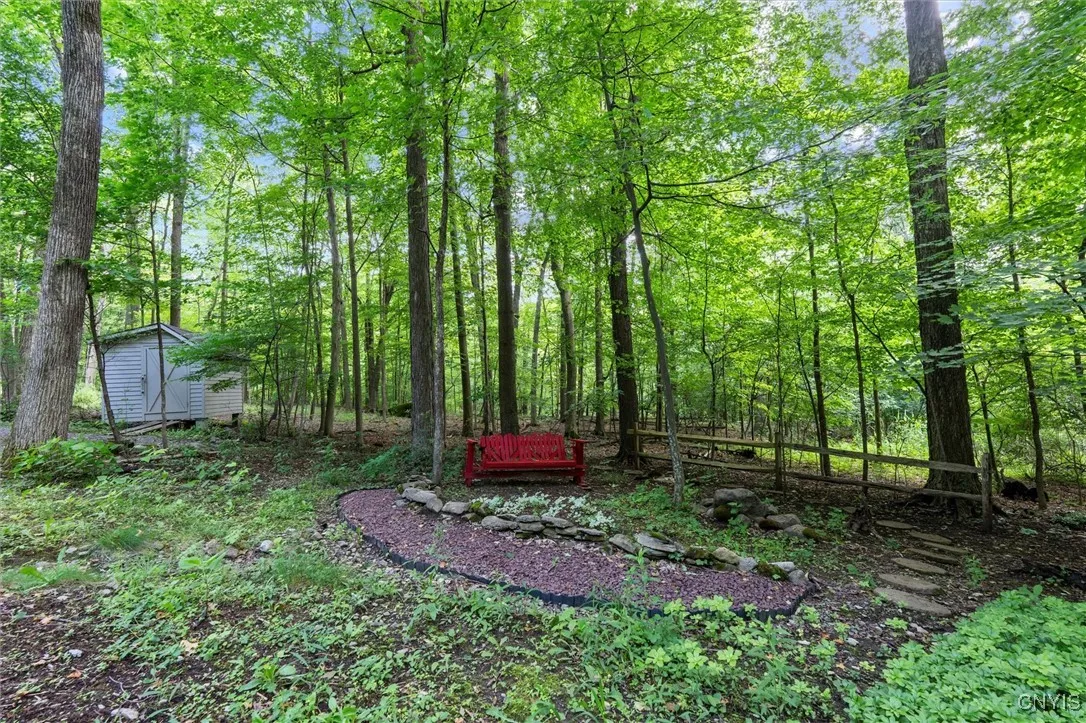 BACK YARD AREA