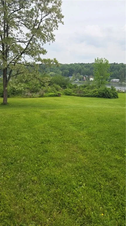 view from deck