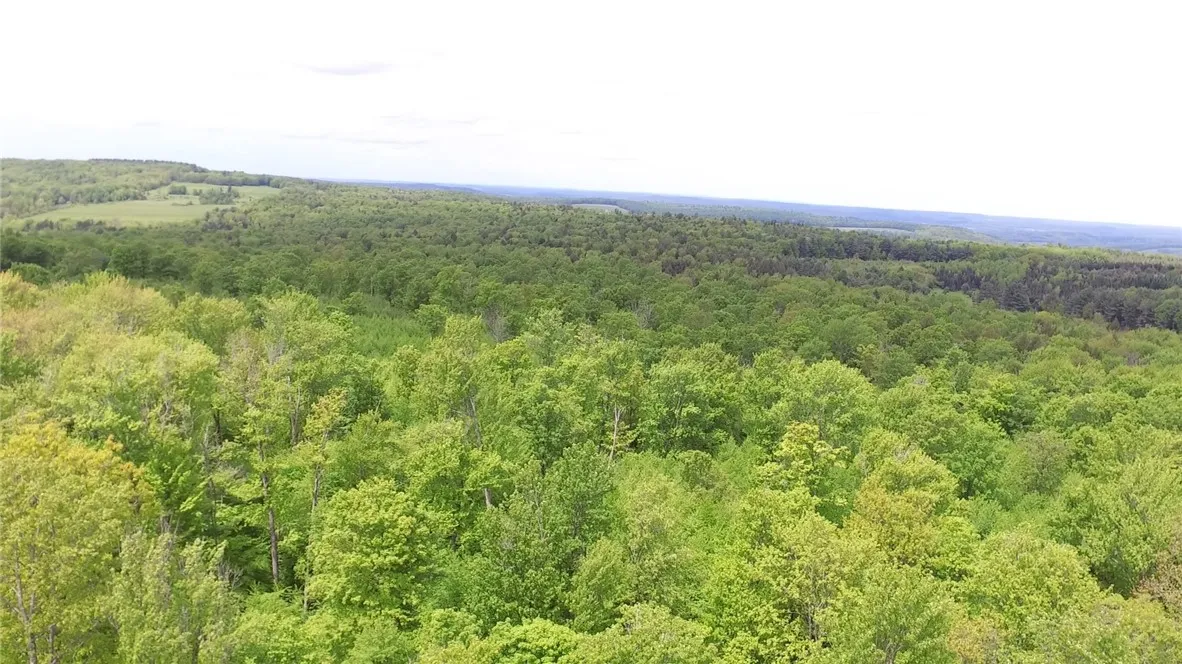 Lot 15.1 Ward Loomis Road, Oxford, New York 13830, Oxford, New York 13830, ,Land,Closed,Lot 15.1 Ward Loomis Road, Oxford, New York 13830,0,R1616983