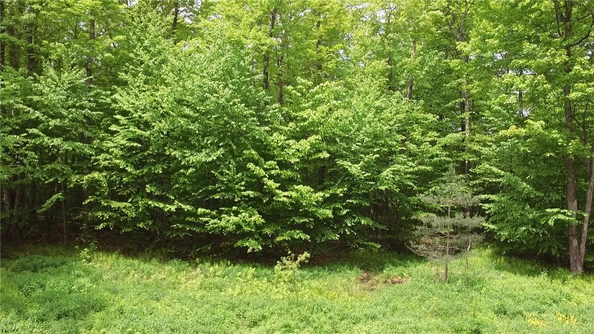 Lot 15.1 Ward Loomis Road, Oxford, New York 13830, Oxford, New York 13830, ,Land,Closed,Lot 15.1 Ward Loomis Road, Oxford, New York 13830,0,R1616983