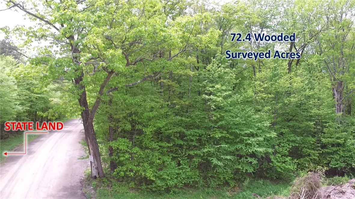 Lot 15.1 Ward Loomis Road, Oxford, New York 13830, Oxford, New York 13830, ,Land,Closed,Lot 15.1 Ward Loomis Road, Oxford, New York 13830,0,R1616983