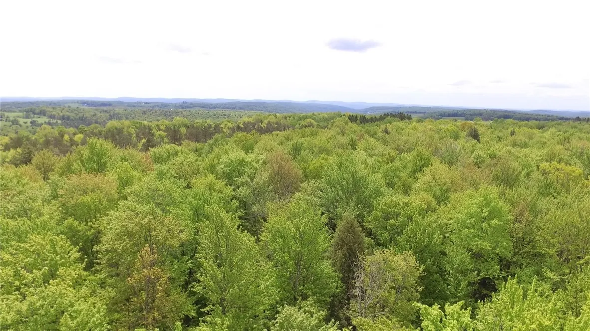 Lot 15.1 Ward Loomis Road, Oxford, New York 13830, Oxford, New York 13830, ,Land,Closed,Lot 15.1 Ward Loomis Road, Oxford, New York 13830,0,R1616983