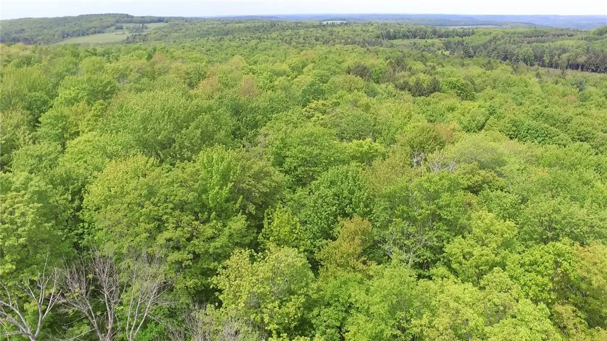 Lot 15.1 Ward Loomis Road, Oxford, New York 13830, Oxford, New York 13830, ,Land,Closed,Lot 15.1 Ward Loomis Road, Oxford, New York 13830,0,R1616983