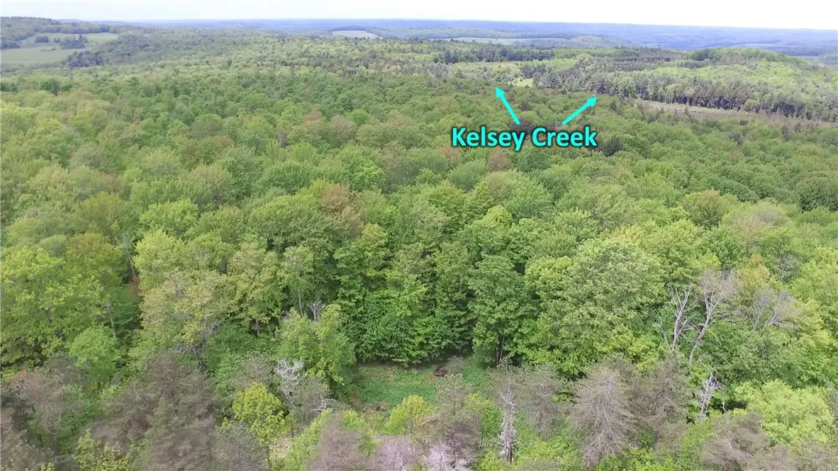 Lot 15.1 Ward Loomis Road, Oxford, New York 13830, Oxford, New York 13830, ,Land,Closed,Lot 15.1 Ward Loomis Road, Oxford, New York 13830,0,R1616983