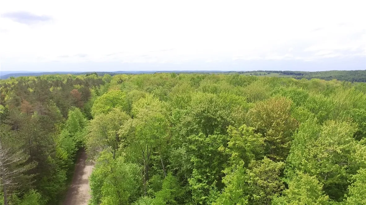 Lot 15.1 Ward Loomis Road, Oxford, New York 13830, Oxford, New York 13830, ,Land,Closed,Lot 15.1 Ward Loomis Road, Oxford, New York 13830,0,R1616983