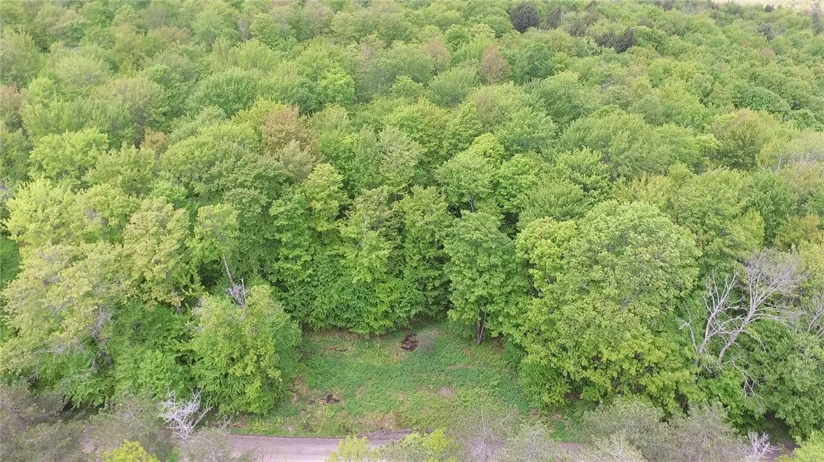 Lot 15.1 Ward Loomis Road, Oxford, New York 13830, Oxford, New York 13830, ,Land,Closed,Lot 15.1 Ward Loomis Road, Oxford, New York 13830,0,R1616983