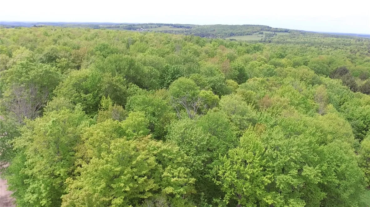 Lot 15.1 Ward Loomis Road, Oxford, New York 13830, Oxford, New York 13830, ,Land,Closed,Lot 15.1 Ward Loomis Road, Oxford, New York 13830,0,R1616983