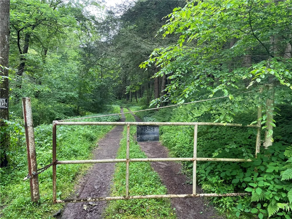 286 Hidden Hollow Farm Drive, Wharton, Pennsylvani, Wharton, Pennsylvania 16720, 3 Bedrooms Bedrooms, 12 Rooms Rooms,1 BathroomBathrooms,Residential,For Sale,286 Hidden Hollow Farm Drive, Wharton, Pennsylvani,R1617003