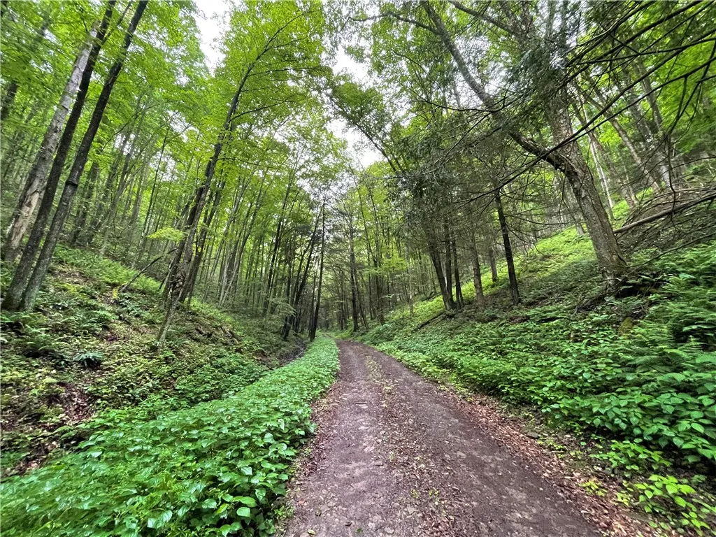 286 Hidden Hollow Farm Drive, Wharton, Pennsylvani, Wharton, Pennsylvania 16720, 3 Bedrooms Bedrooms, 12 Rooms Rooms,1 BathroomBathrooms,Residential,For Sale,286 Hidden Hollow Farm Drive, Wharton, Pennsylvani,R1617003