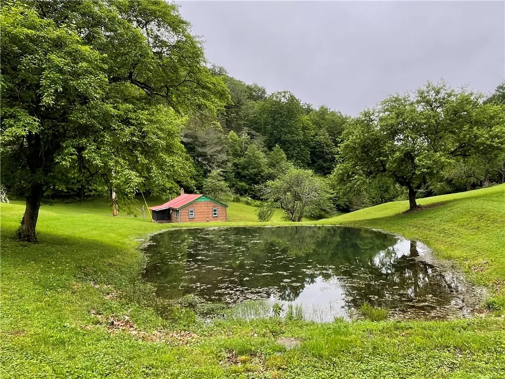 286 Hidden Hollow Farm Drive, Wharton, Pennsylvani, Wharton, Pennsylvania 16720, 3 Bedrooms Bedrooms, 12 Rooms Rooms,1 BathroomBathrooms,Residential,For Sale,286 Hidden Hollow Farm Drive, Wharton, Pennsylvani,R1617003