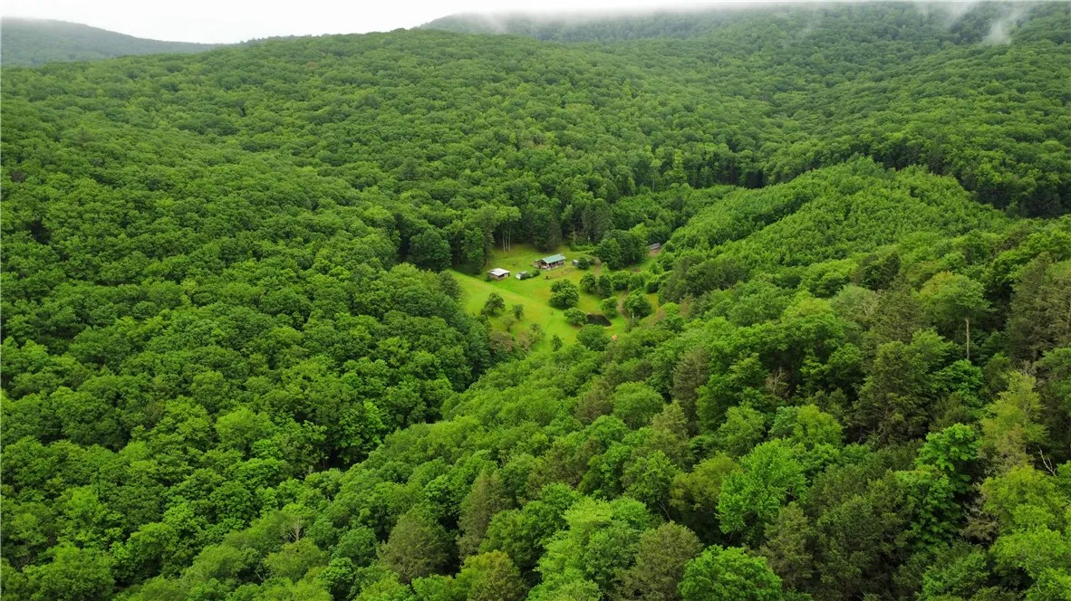 286 Hidden Hollow Farm Drive, Wharton, Pennsylvani, Wharton, Pennsylvania 16720, 3 Bedrooms Bedrooms, 12 Rooms Rooms,1 BathroomBathrooms,Residential,For Sale,286 Hidden Hollow Farm Drive, Wharton, Pennsylvani,R1617003